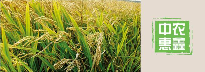 湖北省中农惠鑫农业科技有限公司